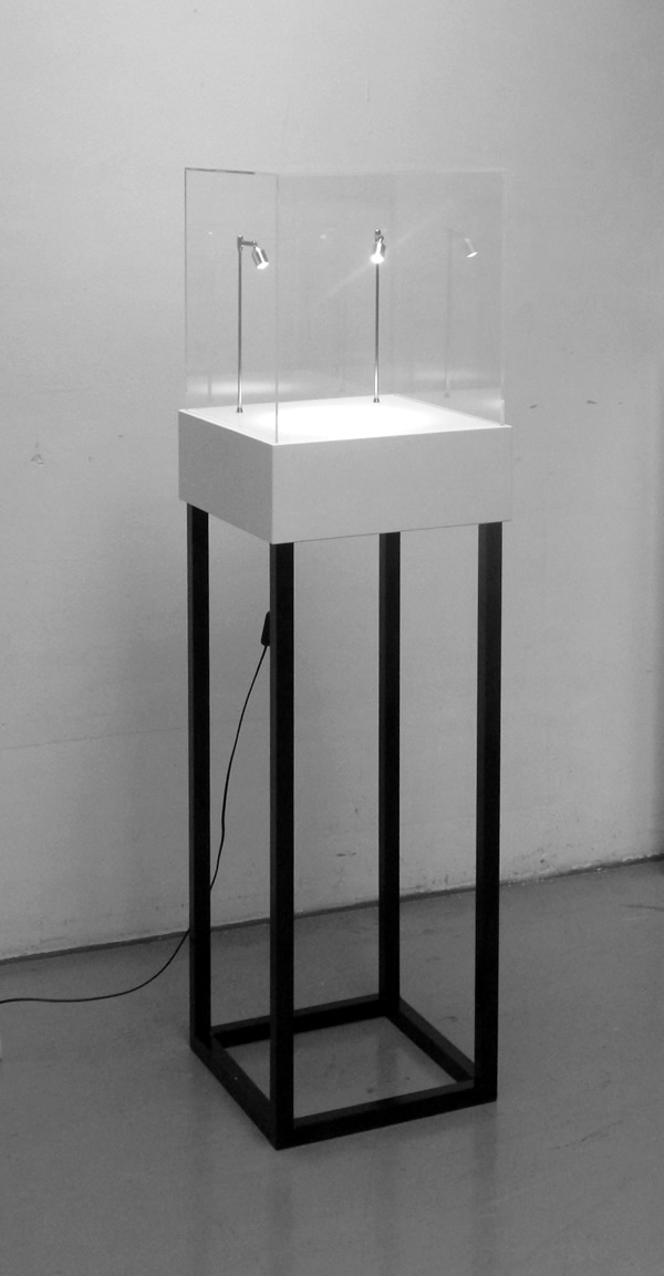 struttura in metallo con teca in plexiglass